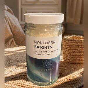 Bath and body Bodyworks Northern Brights Shower Steamers